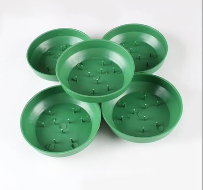 Bases Plásticas Circulares para Centros de Mesa
