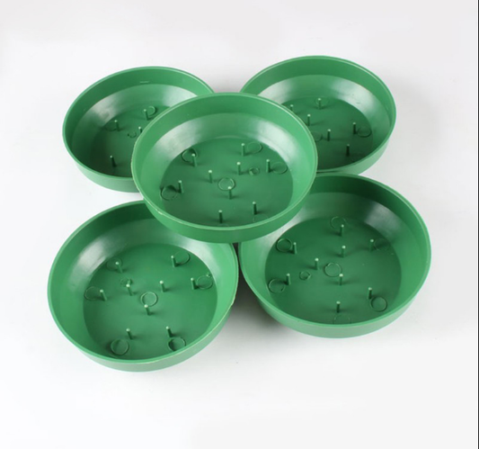 Bases Plásticas Circulares para Centros de Mesa